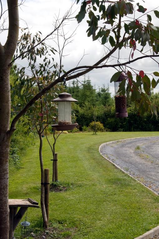 Lake Rise Holiday Home At Kilmaddaroe Carrick on Shannon Habitación foto