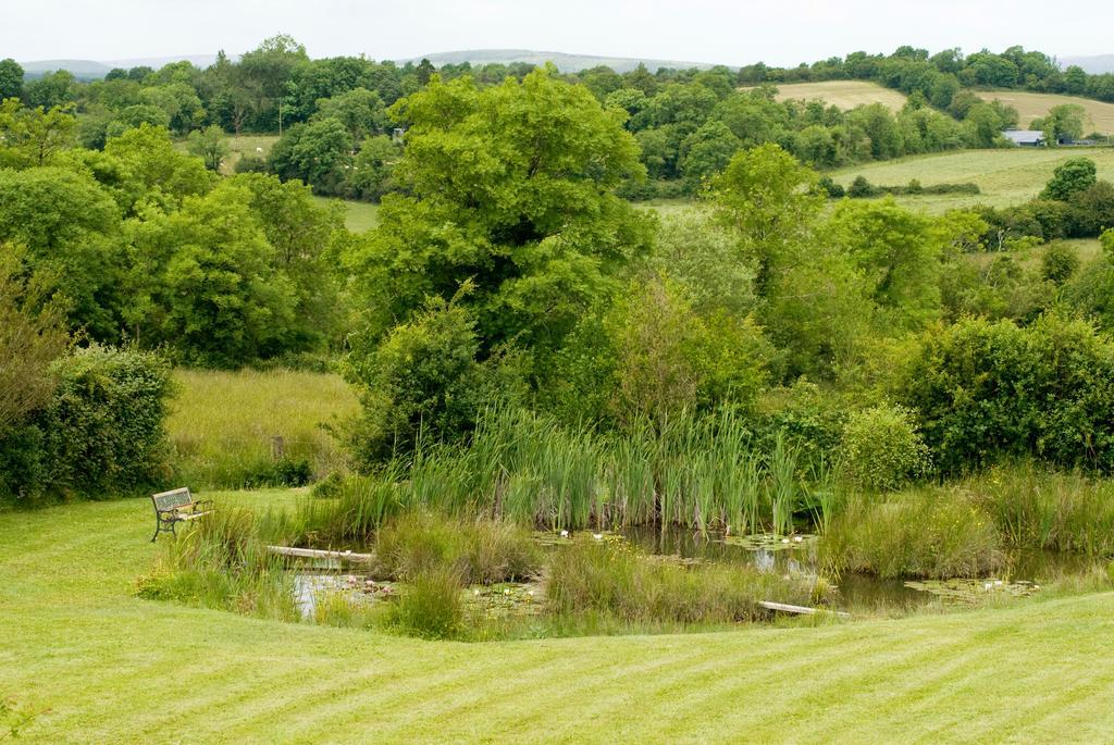 Lake Rise Holiday Home At Kilmaddaroe Carrick on Shannon Habitación foto